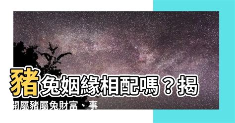 豬和兔合嗎|兔豬相配：愛情與關係